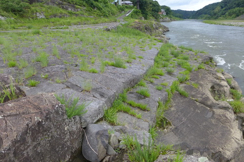 P1290145