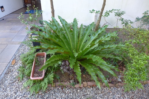 P1270310