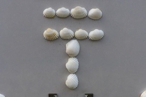 御島崎団地の撮影逍遥＋路上観察！