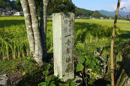 P1180535