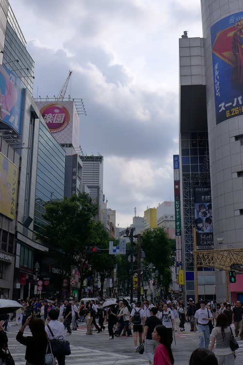P1540315
