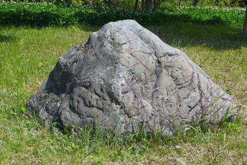 P1040727
