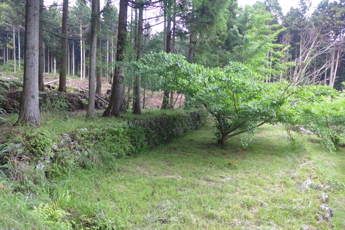 P1140073