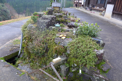 P1520578