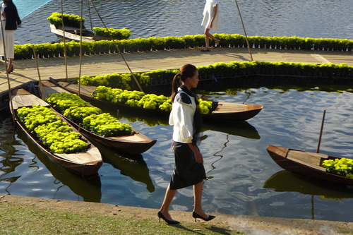 P1530286