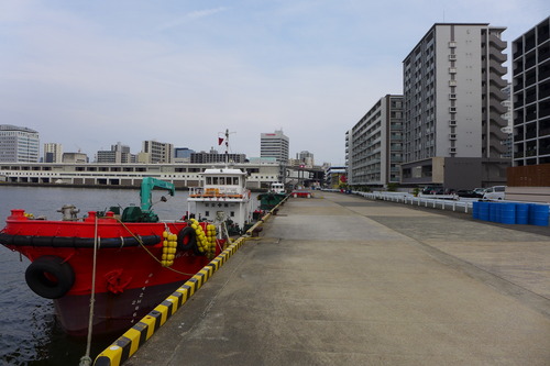 P1140535