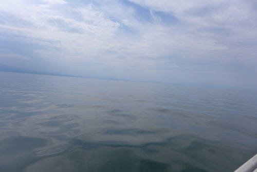 P1560748