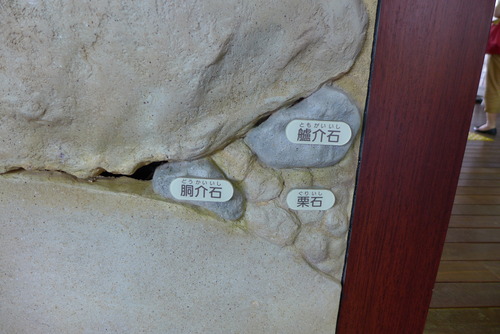 P1080253