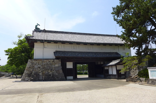 P1140929