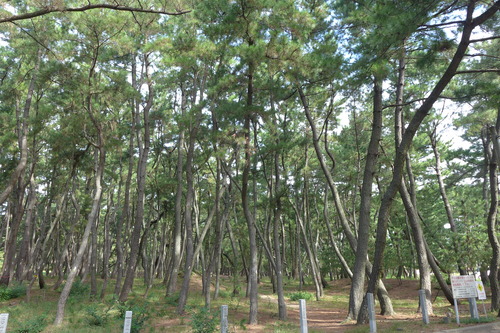 20251002宮地浜にて深呼吸！