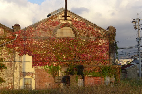 P1500074