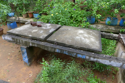 P1190895
