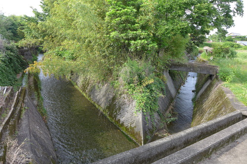 P1130659