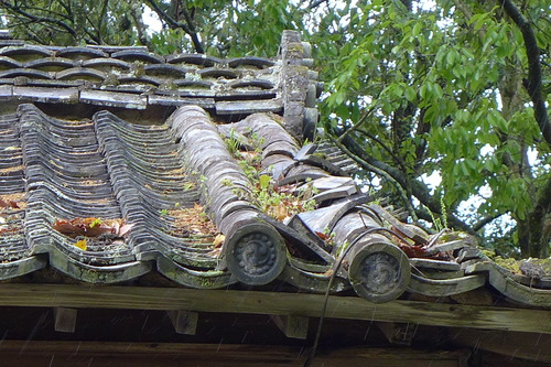 P1100894
