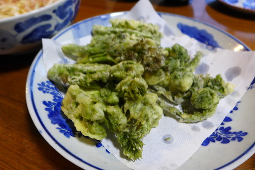 P1130133