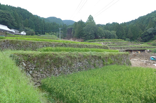 P1200271