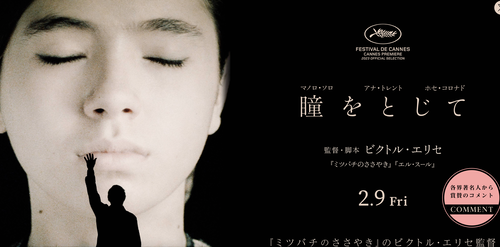 水無月６月、こころの衣替えを映画鑑賞で推し進めていく（5）瞳をとじて