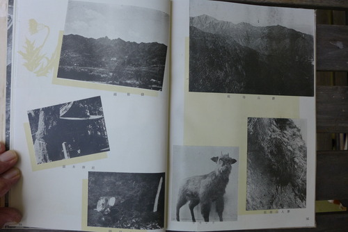 P1530016