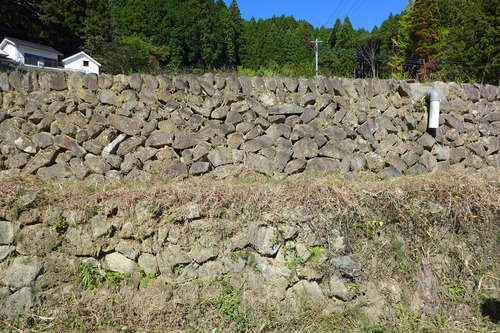 P1260139