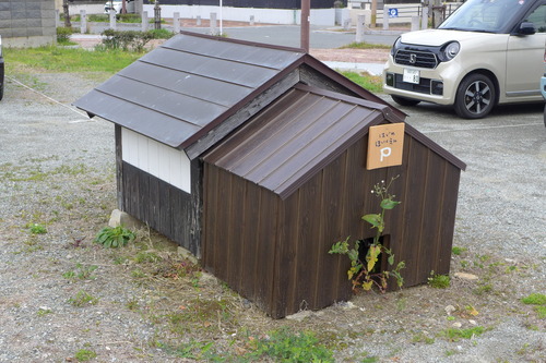 P1100429