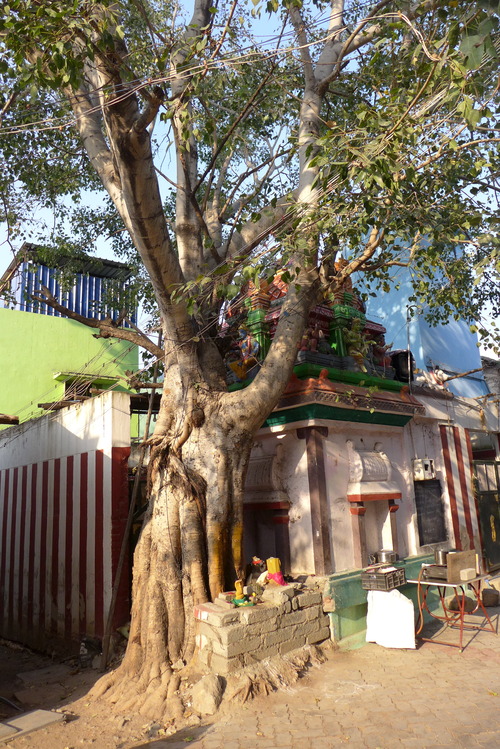 P1460499