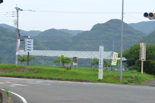 P1020678
