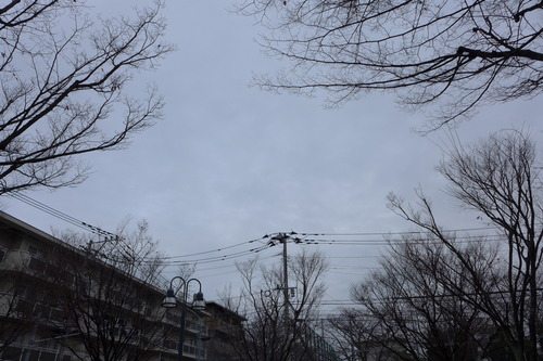 P1040110