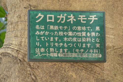 P1180260