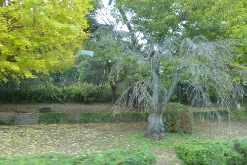 P1050215