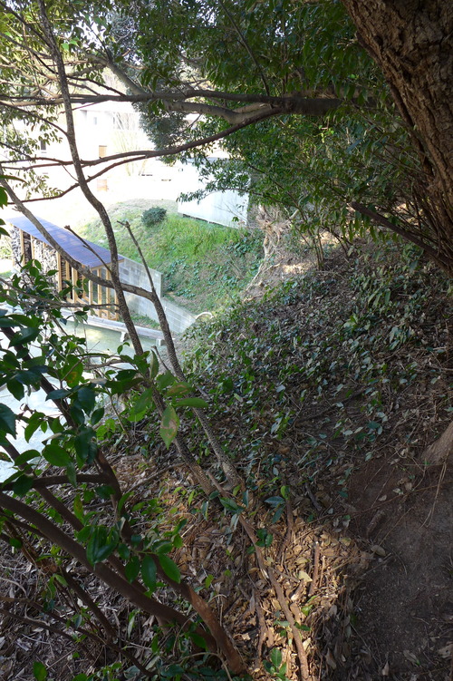 P1360207