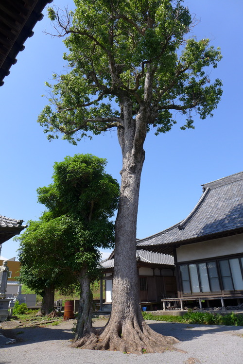 P1540051