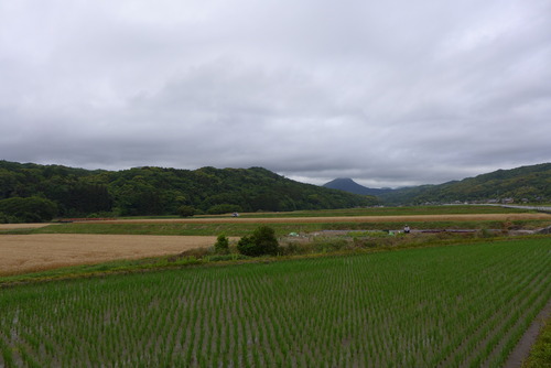 P1530998