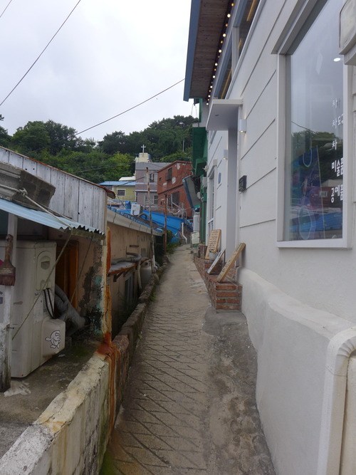 P1550144