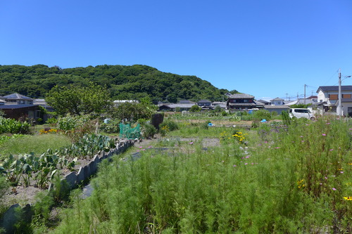 P1290567