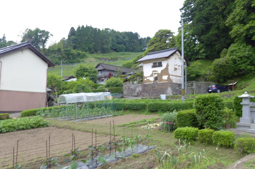 P1150772