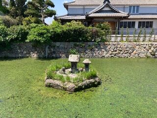 IMG_3790