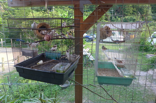 P1160698
