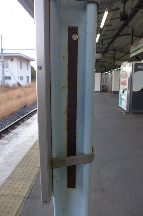 P1110558のコピー