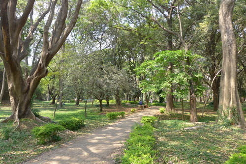 P1480082