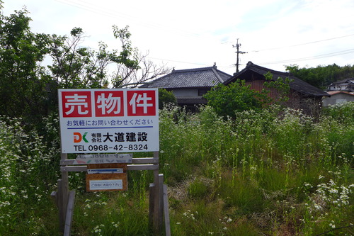 P1130653