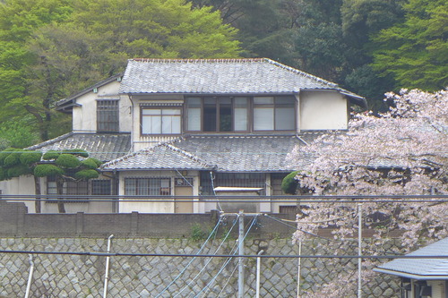 P1100534