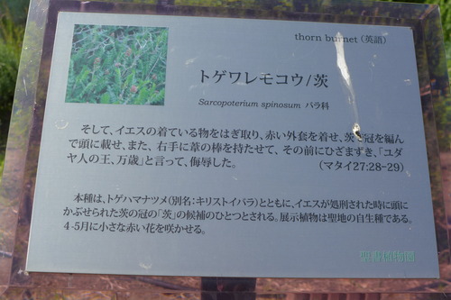 P1130861