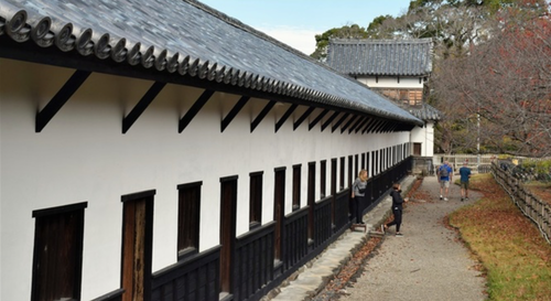 スクリーンショット 2024-12-12 14.53.03