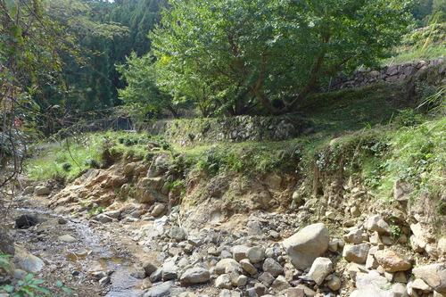 P1250754