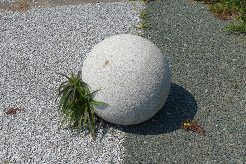 P1040713