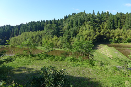 P1150853