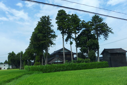 P1090070