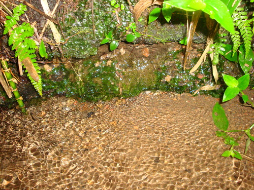 DSC09920