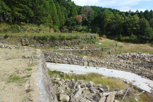 P1250869