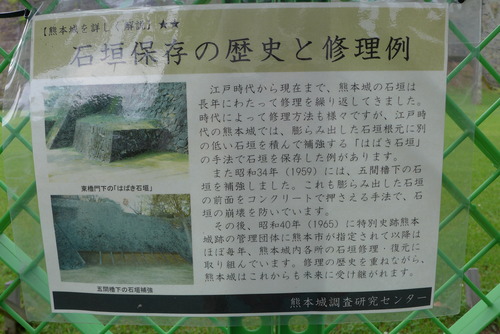 P1020100